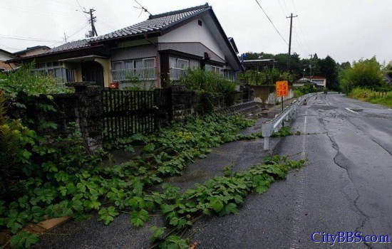 日本福岛核事故撤离区杂草丛生