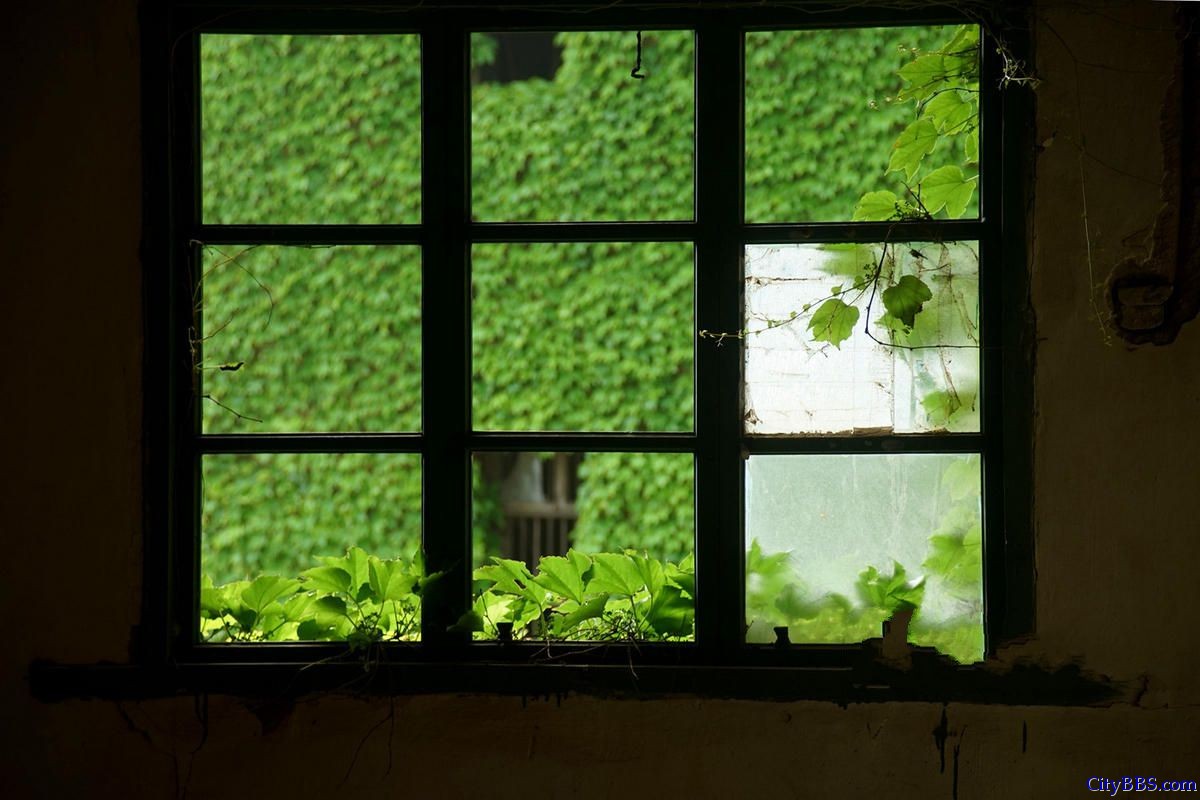 浙江荒废海岛 宛如绿色童话世界 浙江荒废海岛 宛如绿色童话世界