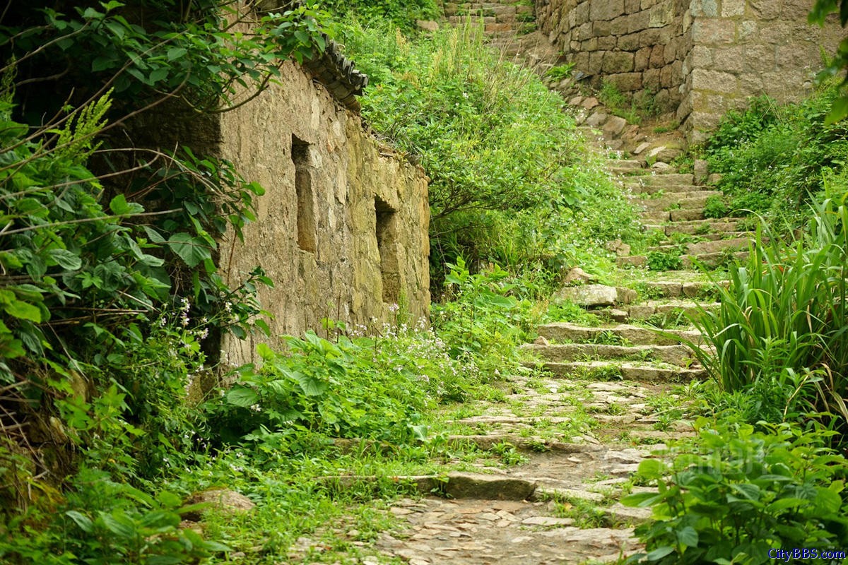 浙江荒废海岛 宛如绿色童话世界 浙江荒废海岛 宛如绿色童话世界