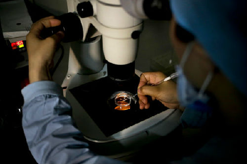 美媒:越来越多中国单身女性赴海外冷冻卵子 美媒:越来越多中国单身女性赴海外冷冻卵子