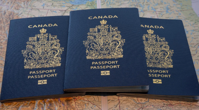 加拿大身份失吸引力永久居民入籍率大跌40%