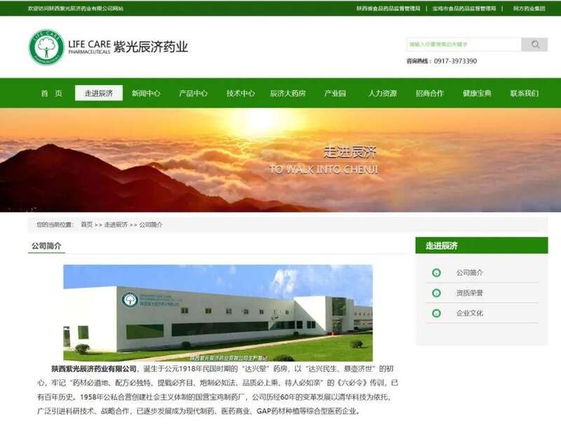 陕西紫光辰济药业有限公司实质是清华同方医药板块的成员之一