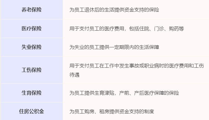 中国明确“建立多层次的社会保障体系”任务